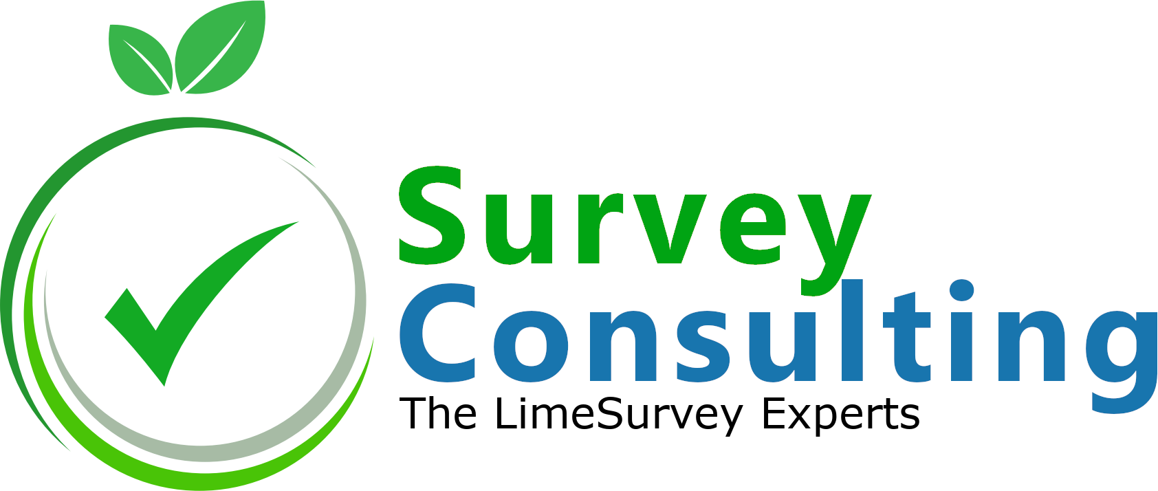 LimeSurvey Hosting Setup Form